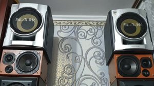 SONY SS WG990--
