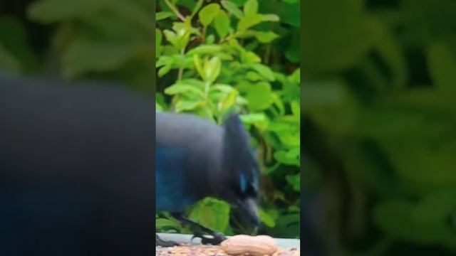 отвергла дочь??? смотреть онлайн