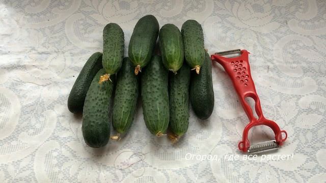483 Быстрые малосольные огурчики смотреть онлайн
