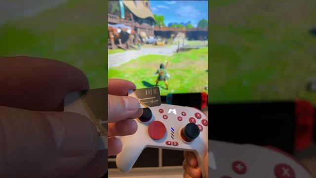 ФУНКЦИЯ, КОТОРАЯ ЕСТЬ ТОЛЬКО НА NINTENDO SWITCH