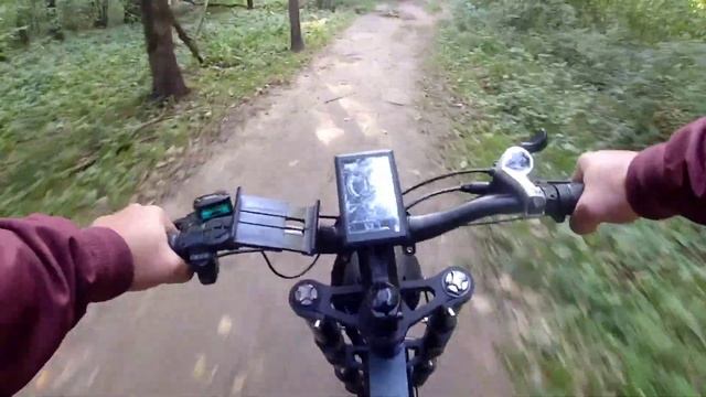 SYCCYBA IMPULSE / ПОКАТУШКА ПО ЛЕСУ / ТЕСТ ДРАЙВ ПО БЕЗДОРОЖЬЮ