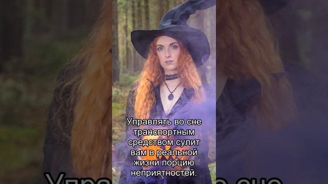 Сон дня: К чему снится Управлять? смотреть онлайн