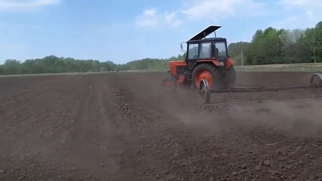 Боронование арбуза после посева 10 05 2019 г смотреть онлайн