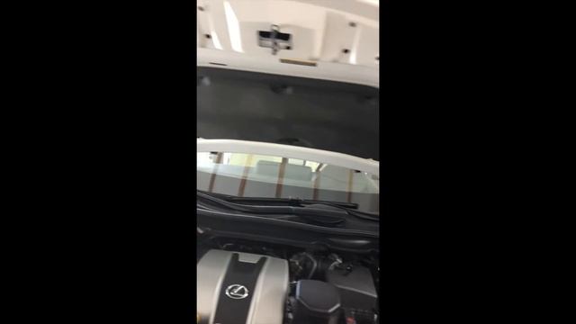 Химчистка Lexus RX350 c белым салоном смотреть онлайн