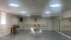 Вариация Ундин из балета Наяда и Рыбак