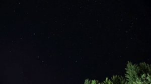 Sounds of the night summer. Night atmosphere: crickets, cicadas.