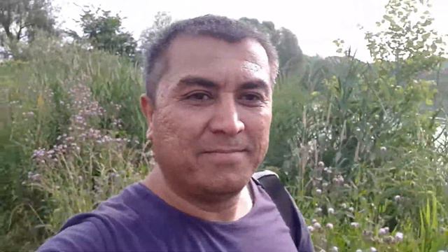 Осинова 2018 смотреть онлайн