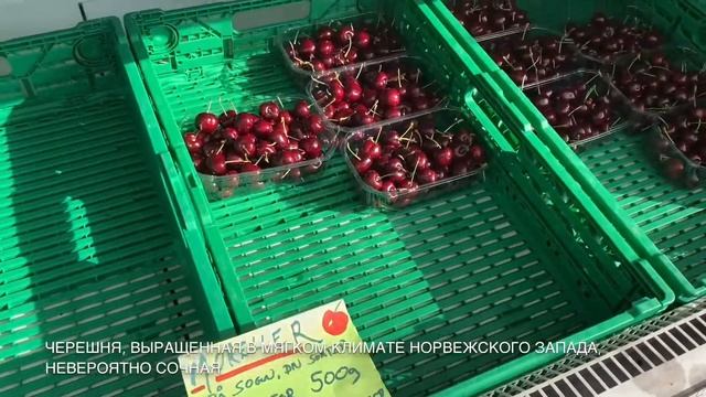 ЧЕРЕШНЯ В НОРВЕГИИ СОЧНАЯ И СЛАДКАЯ смотреть онлайн