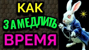 Как замедлить время?  Почему в старости время ускоряется + Моя еда и салат из морской капусты. № 580