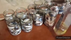 Скумбрия в масле в автоклаве.