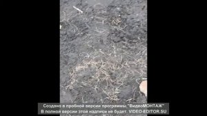 Агроволокно от сорняков на лето