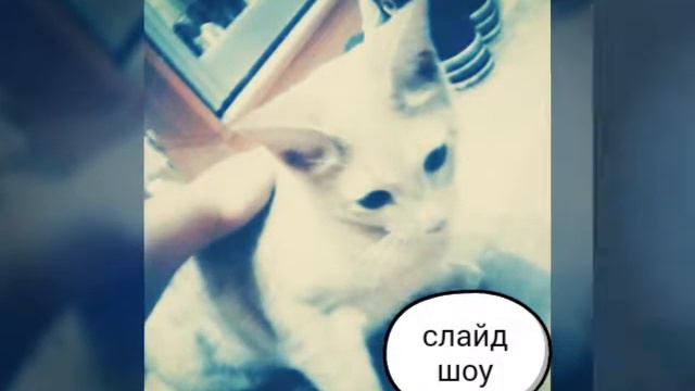 Моий личные фото! смотреть онлайн