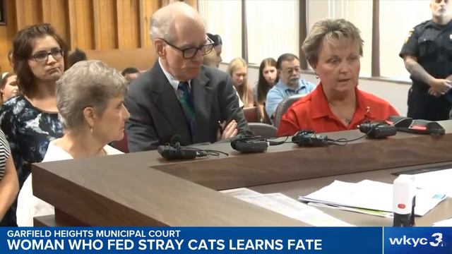 WATCH | Garfield Heights woman sentenced to jail for feeding stray cats learns final fate смотреть онлайн