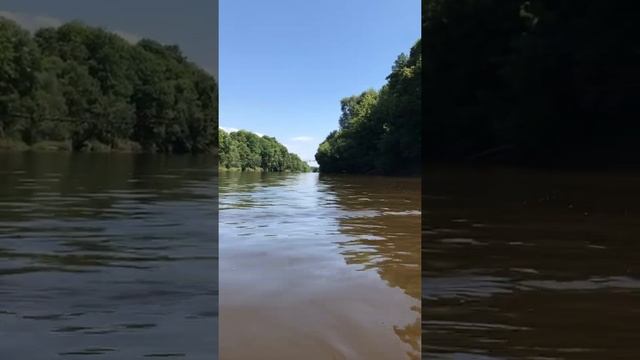 На реке Десне благодать, водичка как парное молоко