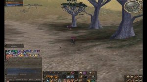 Гном на фане Lineage2 dwarf pvp