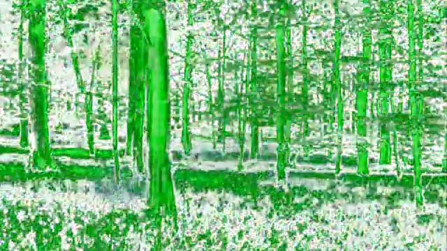 Волшебный лес-Ненавижу лесные пожары! смотреть онлайн