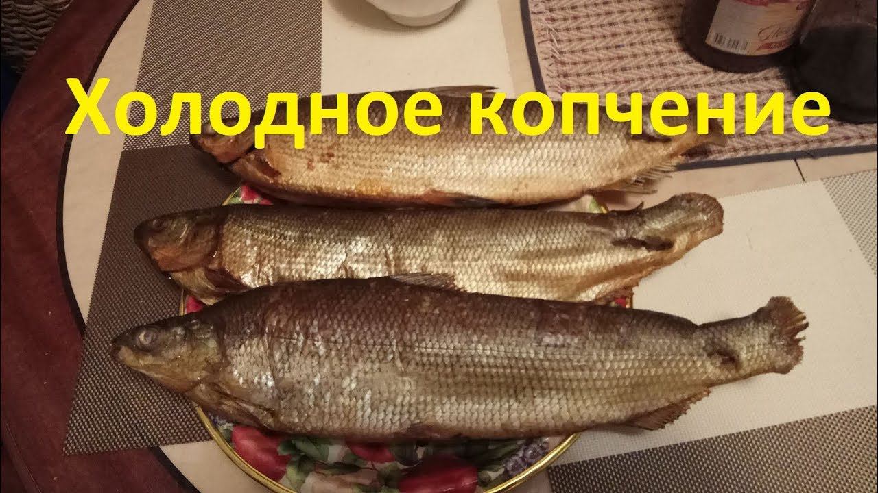 Рыба холодного копчения в деревянной коптильни