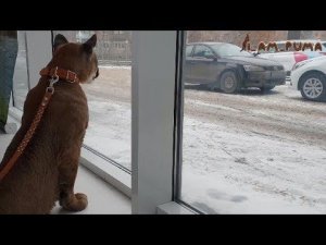 Пятница с Месси. Friday with Messi