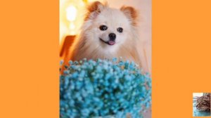 Элис и Баттерс💟💟💗💞💝💖