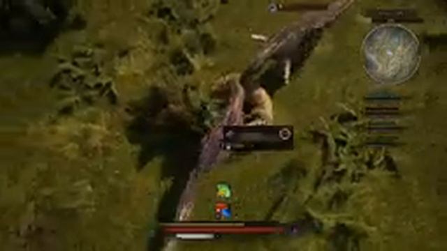 Path of Titans: WWD Realism Allosaurus Nesting ( “Fearly and her Allo Family” ) смотреть онлайн