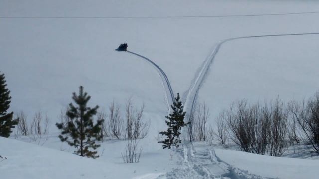 стелс викинг может... смотреть онлайн