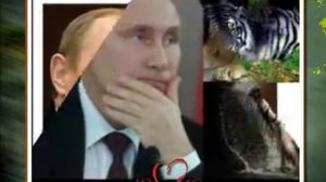 на него я смотрю... и понимаю....,пропадаю я....