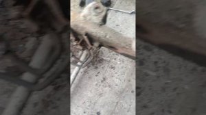 рама Киа СПОРТЕЙДЖ 1 гранд