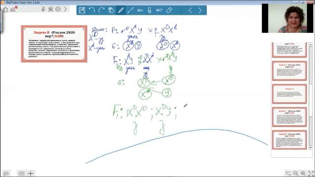 Сцепленное с полом наследование. ЗАДАЧИ по генетике. ЕГЭ. ОГЭ смотреть онлайн