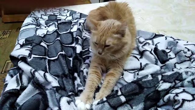 Маруся нежится, готовится ко сну. Спокойной ночи малыши. смотреть онлайн