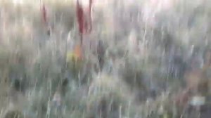 RA3RPS/P - река Польной Воронеж 04.08.2018 г.