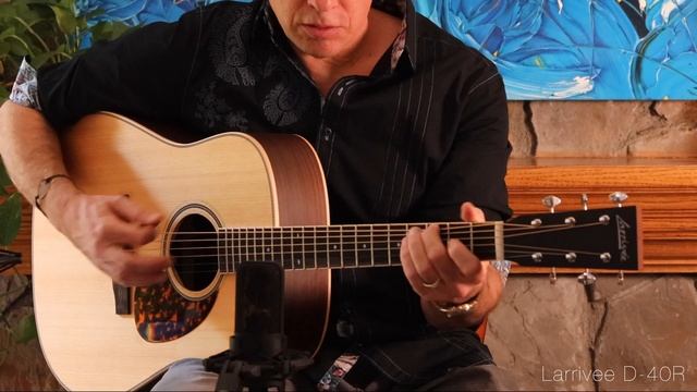 Larrivee D-40R - Sitka Spruce/East Indian Rosewood (2019) смотреть онлайн