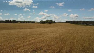 Русское поле