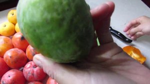 Фрукты в Абхазии в декабре