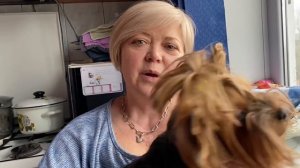 6 марта 14-00 Донецкая область Новогродовка