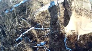 ВЕСЕННЯЯ ОХОТА НА СЕЛЕЗНЕЙ БЕЗ ЛИШНИХ СЛОВ * ОХОТА С МАНКОМ И ЧУЧЕЛАМИ ТОЖЕ БЫВАЕТ ДОБЫЧЛИВОЙ
