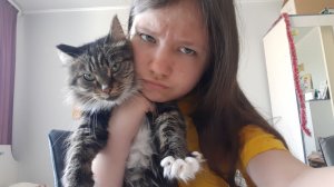 Видео о коше