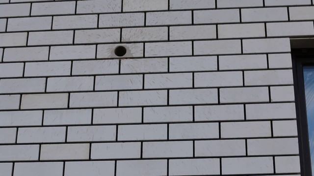 бурение в облицовочном кирпиче смотреть онлайн