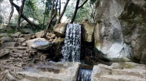 Алупка зимой.  Воронцовский дворец и парк