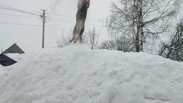 акробат