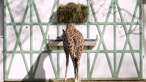 Sony Alpha DSLR A350_ Kit