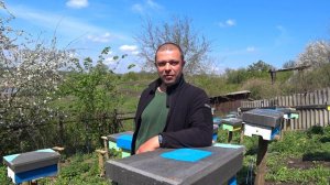 Востанавливаем пчел после потравы. Витамины для пчел