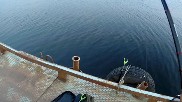 Ванная рыбы вот это улов. Ловля леща на фидер. смотреть онлайн