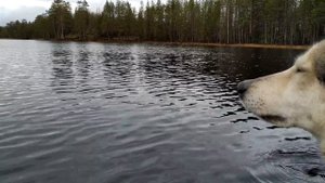 Рыбалка в Карелии (продолжение)