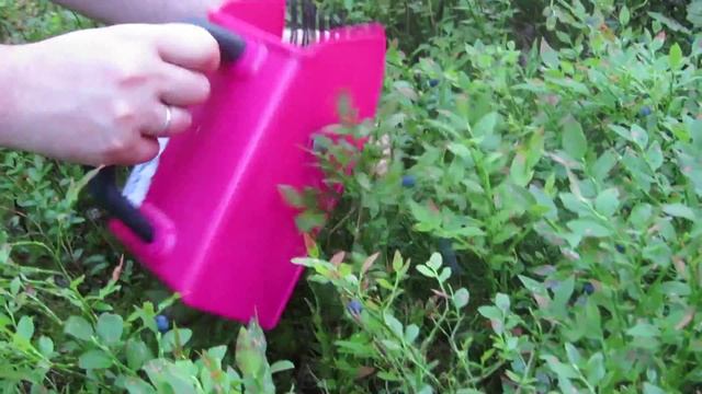 MVI 7454 смотреть онлайн