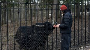 Парк-отель Русские Сезоны.Пересвет