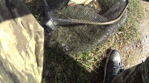 Рыбхоз "РАКОВО". Ловля КАРПОВ в октябре на поплавочную снасть. Поймал гибридного чёрного карпа.
