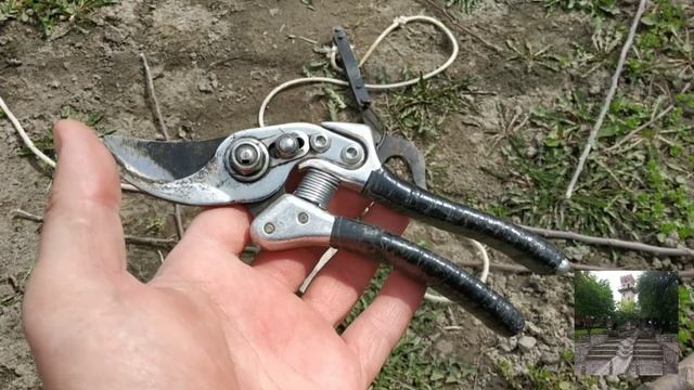 Садовые Инструменты! Таких секаторов у многих точно нет. Gardening Tools!