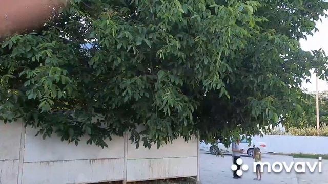 Переезд с Урала на юг// Прогулка по станице Варениковской