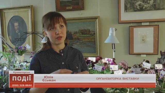 Більше 800 сортів фіалок можна побачити на виставці у Краматорську смотреть онлайн