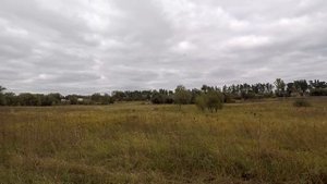 Искускуственое озеро.Добыча песка методом гидронамыва .